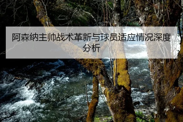 阿森纳主帅战术革新与球员适应情况深度分析