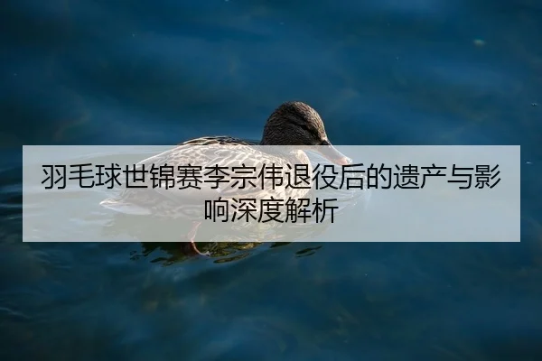 羽毛球世锦赛李宗伟退役后的遗产与影响深度解析