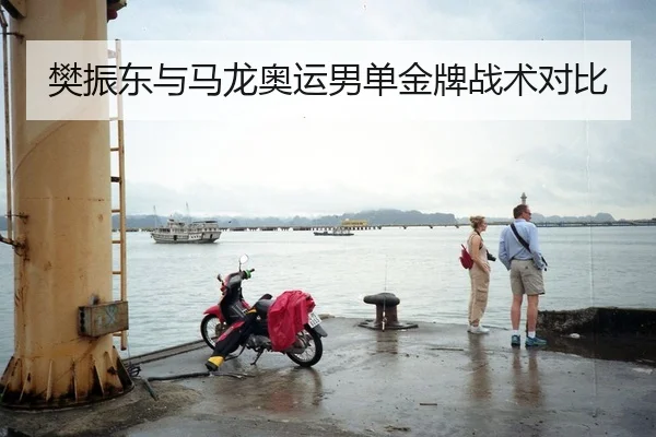 樊振东与马龙奥运男单金牌战术对比