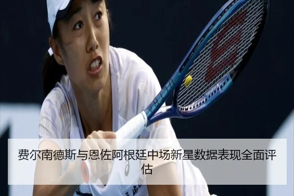 费尔南德斯与恩佐阿根廷中场新星数据表现全面评估