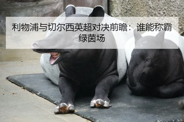 利物浦与切尔西英超对决前瞻：谁能称霸绿茵场