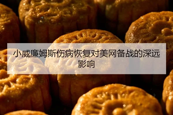 小威廉姆斯伤病恢复对美网备战的深远影响